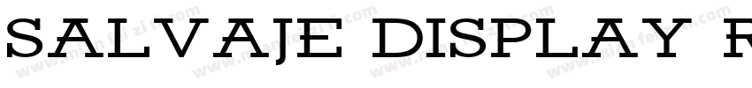 Salvaje Display Regular字体转换